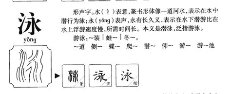 泳名字意思